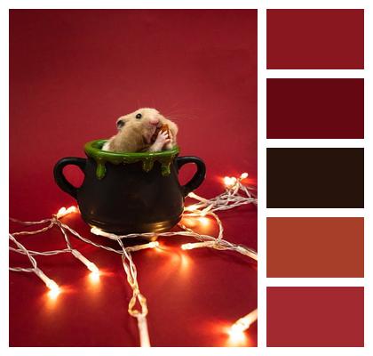 Rodent Hamster Fairy Lights Image